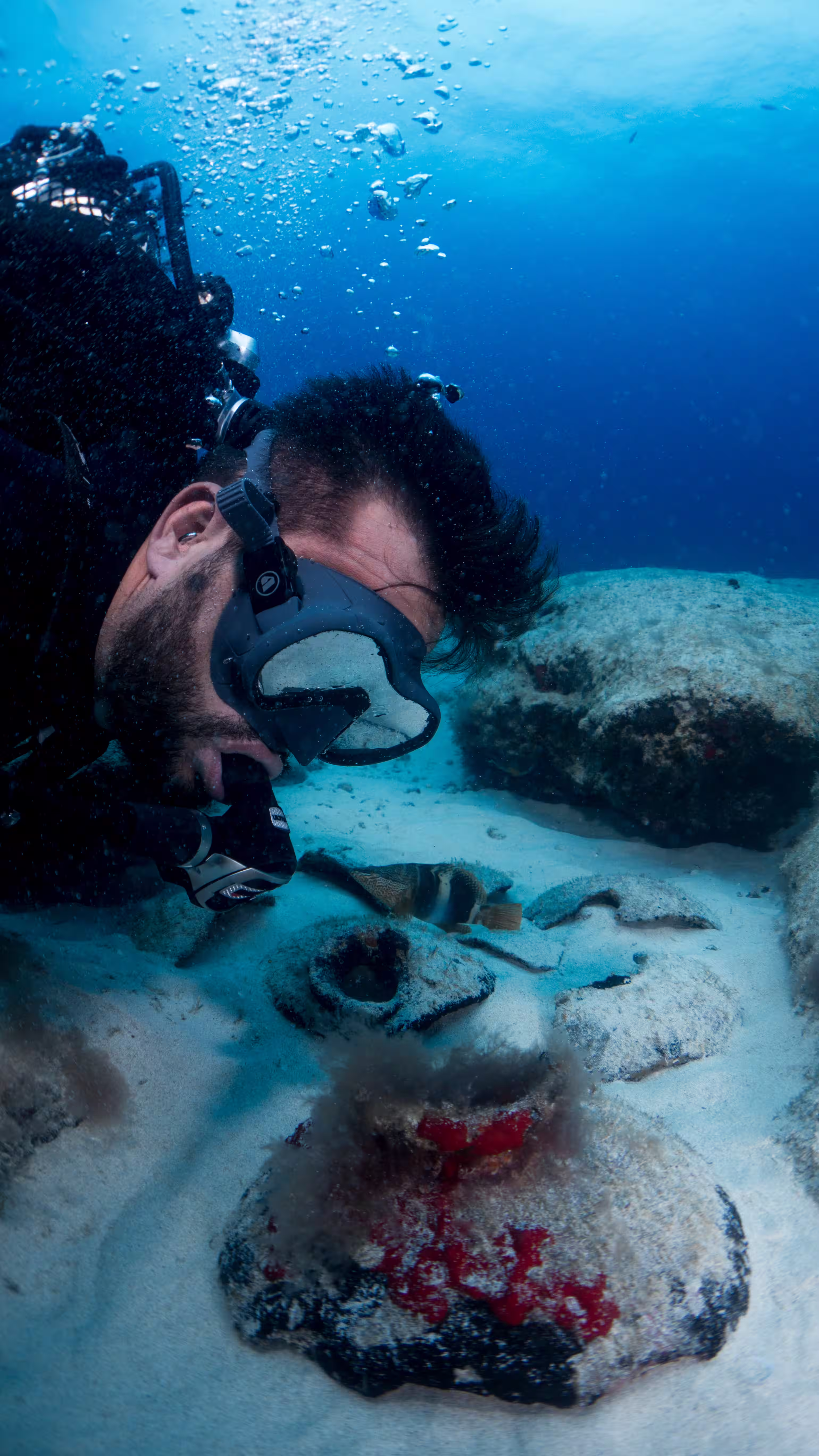 Scuba diving and marine life in La Graciosa