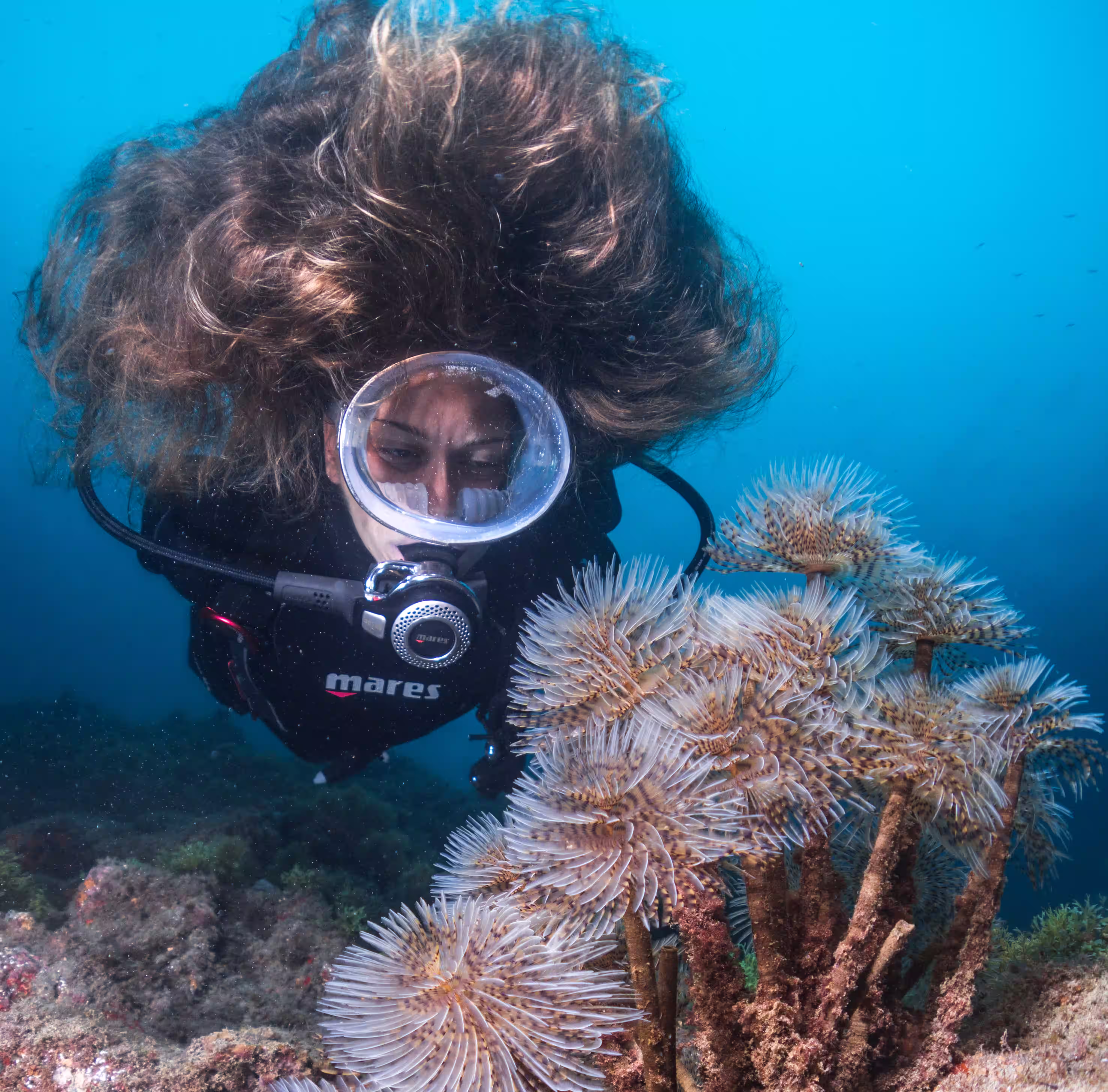 Tauchen auf La Graciosa: Guide für zertifizierte Taucher